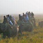 Indie Północno-Wschodnie / Danuta Rasała i Sławomir Skowron