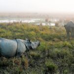 Indie Północno-Wschodnie / Danuta Rasała i Sławomir Skowron