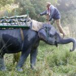 Indie Północno-Wschodnie / Danuta Rasała i Sławomir Skowron