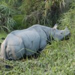 Indie Północno-Wschodnie / Danuta Rasała i Sławomir Skowron