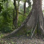 Indie Północno-Wschodnie / Danuta Rasała i Sławomir Skowron