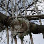 Indie Północno-Wschodnie / Danuta Rasała i Sławomir Skowron