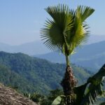 Indie Północno-Wschodnie / Danuta Rasała i Sławomir Skowron