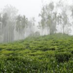 Indie Północno-Wschodnie / Danuta Rasała i Sławomir Skowron