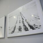 06.02.2020. Kielce. Wystawa fotografii Grzegorza Sidła w Galerii Tycjan / Wiktor Taszłow / Radio Kielce