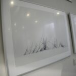 06.02.2020. Kielce. Wystawa fotografii Grzegorza Sidła w Galerii Tycjan / Wiktor Taszłow / Radio Kielce