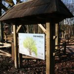 Zagnańsk. 14.01.2020. Dąb Bartek / Wiktor Taszłow / Radio Kielce