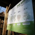 Zagnańsk. 14.01.2020. Dąb Bartek / Wiktor Taszłow / Radio Kielce