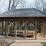 Zagnańsk. 14.01.2020. Dąb Bartek / Wiktor Taszłow / Radio Kielce