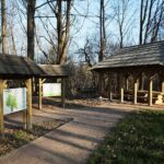 Zagnańsk. 14.01.2020. Dąb Bartek / Wiktor Taszłow / Radio Kielce