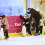 02.02.2020. Kielce. Ferie na lodowisku / Wiktor Taszłow / Radio Kielce