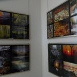 07.03.2020. Jędrzejów. Wystawa „Moja prezentacja” / Ewa Pociejowska-Gawęda / Radio Kielce