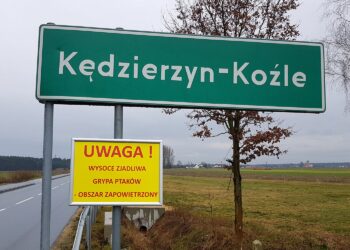 Picasa / Radio Opole