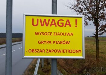 Grypa ptaków / A.Pospiszyl / Radio Opole