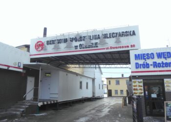 Picasa / Radio Opole