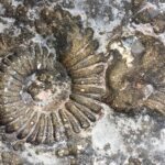 Muzyczne podróże. Kolumbia / Danuta Rasała i Sławomir Skowron