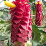 Muzyczne podróże. Kolumbia / Danuta Rasała i Sławomir Skowron