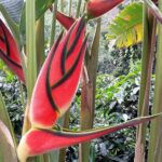 Muzyczne podróże. Kolumbia / Danuta Rasała i Sławomir Skowron