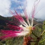 Muzyczne podróże. Kolumbia / Danuta Rasała i Sławomir Skowron