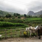 Busem na Bałkany / Katarzyna Kosowska i Wojciech Grabowski