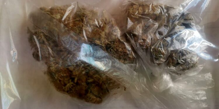 marihuana, susz, narkotyki / KWP Kielce