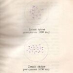 Broszura "Przeciw zarazie. Najważniejsze wiadomości i przepisy, tyczące się zarazy i chorób zaraźliwych" autorstwa dra Feliksa Przypkowskiego / Ewa Pociejowska-Gawęda / Radio Kielce