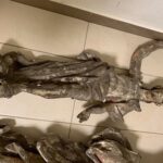 13.03.2020. Tokarnia. Park Etnograficzny. Kościół z Rogowa / Mariusz Łężniak