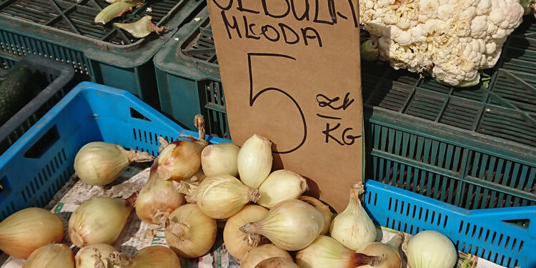 Kielce. Ceny owoców i warzyw na Miejskim Placu Targowym / Mateusz Kaczmarczyk / Radio Kielce