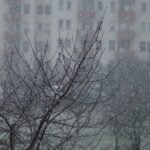 31.03.2020 Wiosenny śnieg w województwie świętokrzyskim. Zdjęcia słuchaczy / Robert Lubczyński