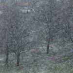 31.03.2020 Wiosenny śnieg w województwie świętokrzyskim. Zdjęcia słuchaczy / Robert Lubczyński