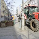 26.03.2020. Kielce. Bratki w klombach przy ul. Paderewskiego / Piotr Kwaśniewski / Radio Kielce