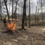 14.03.2020. Królewice. Cmentarz z okresu I wojny światowej / Grażyna Szlęzak-Wójcik / Radio Kielce