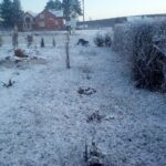 01.04.2020 Wiosenny śnieg w województwie świętokrzyskim. Zdjęcia słuchaczy / Marcin Grzesik