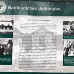 01.03.2020 Jędrzejów. Bieg Pamięci Żołnierzy Wyklętych - Tropem Wilczym / Marcin Przemirski / Radio Kielce