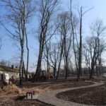 05.03.2020. Zborów. Park w Zborowie / Marta Gajda / Radio Kielce