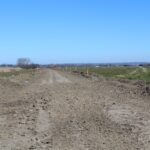 Wiślica. Budowa ścieżki rowerowej / Marta Gajda / Radio Kielce