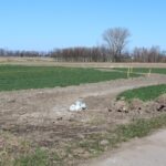 Wiślica. Budowa ścieżki rowerowej / Marta Gajda / Radio Kielce