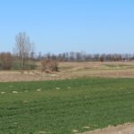 Wiślica. Budowa ścieżki rowerowej / Marta Gajda / Radio Kielce