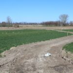 Wiślica. Budowa ścieżki rowerowej / Marta Gajda / Radio Kielce