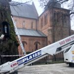 Sandomierz. Ratowanie zabytkowej lipy / Grażyna Szlęzak-Wójcik / Radio Kielce