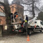 Sandomierz. Ratowanie zabytkowej lipy / Grażyna Szlęzak-Wójcik / Radio Kielce