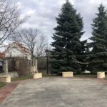 10.03.2020. Sandomierz. Plac Poniatowskiego. Krokusy / Grażyna-Szlęzak-Wójcik / Radio Kielce