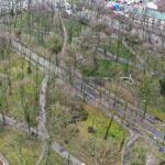 03.03.2020 Kielce. Park miejski / Jarosław Kubalski / Radio Kielce