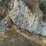 14.03.2020 Kielce. Kadzielnia / Jarosław Kubalski / Radio Kielce