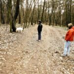 21.03.2020 Kielce. Las Stadion. Spacery / Jarosław Kubalski / Radio Kielce