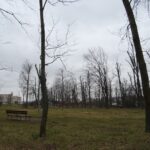 06.03.2020. Opatów. Park w Opatowie / Emilia Sitarska / Radio Kielce