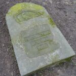 06.03.2020. Opatów. Park w Opatowie / Emilia Sitarska / Radio Kielce