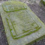 06.03.2020. Opatów. Park w Opatowie / Emilia Sitarska / Radio Kielce