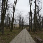 06.03.2020. Opatów. Park w Opatowie / Emilia Sitarska / Radio Kielce