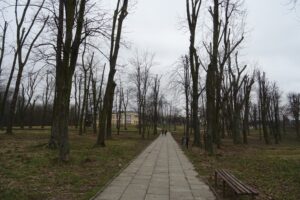 06.03.2020. Opatów. Park w Opatowie / Emilia Sitarska / Radio Kielce